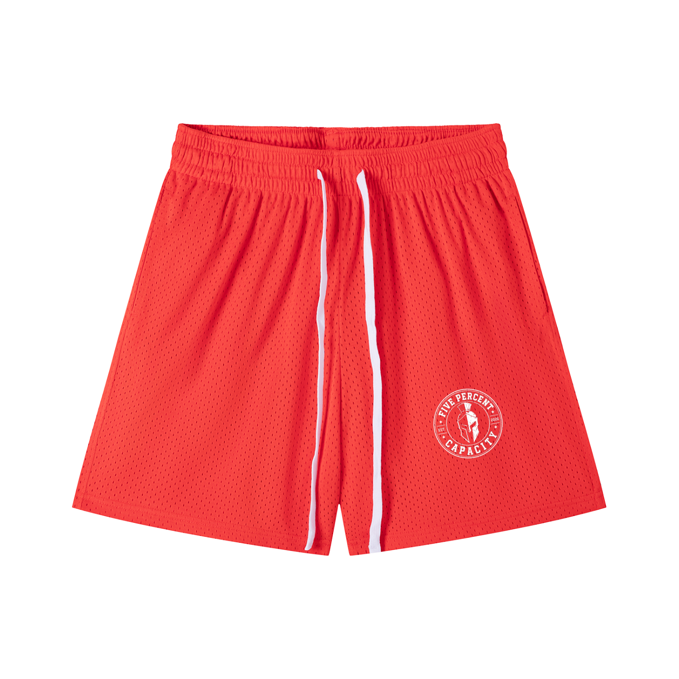 Men's Mesh Drawstring Shorts